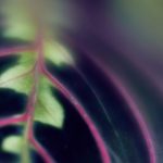 如何在亿博平台上实现财富增值的最佳策略 77f2w