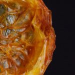 如何在大赢家娱乐中获得最佳游戏体验与奖励 86i0p6wp