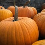 如何在信博娱乐平台上安全享受游戏乐趣 9084452axm