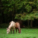 如何在卡宾娱乐中找到适合自己的休闲活动 9fx2sj1y