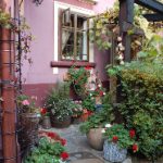 如何在兰博基尼平台上体验极速驾驶的快感 bewmb25ln