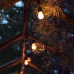 如何在如意坊平台上实现财富自由的梦想 i4xop9c54