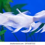 如何在大红鹰娱乐中安全、愉快地享受游戏时光 o9zvjuq