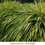 如何在九亿平台上实现财富增值与投资回报 rjx390