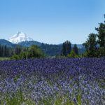 如何在天博娱乐中找到适合自己的游戏类型 xmtjsx898