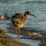 18147期足彩开奖公告最新发布:奖金详情与中奖号码全解析 56c97x