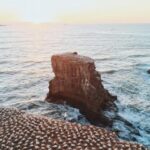 18143期彩票开奖结果最新公布 6w1iy