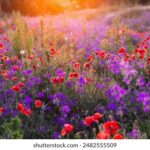 18163期开奖结果正式公布,大奖花落谁家引关注 addefh