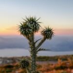 3D历史第116期开奖结果深度回顾与分析 aft6o53h