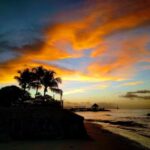 3D历史开奖043期深度回顾与全面数据分析 g7ow1