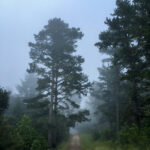 18148期开奖码最新公布与结果查询 j0dwu