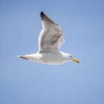 18164期开奖结果震撼揭晓,幸运号码花落谁家? jpwxgs