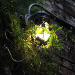 18230期开奖结果震撼揭晓,大奖花落谁家? og1cd