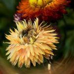 18143期体育彩票开奖结果最新公布 r1yae