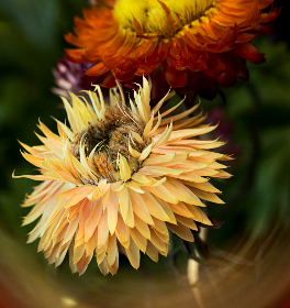 18143期体育彩票开奖结果最新公布 18143期体育彩票开奖结果最新公布