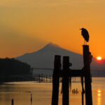 1820期开奖结果震撼揭晓,大奖花落谁家? t1u4xi7d1