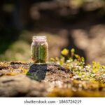 18151期开奖结果揭晓:幸运号码震撼出炉 v0c66q7u