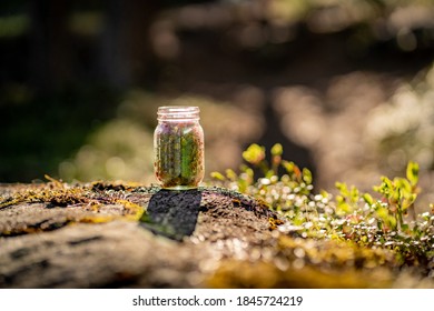 18151期开奖结果揭晓:幸运号码震撼出炉 18151期开奖结果揭晓:幸运号码震撼出炉