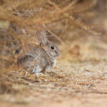18174期开奖结果震撼揭晓,大奖花落谁家引关注 vgc1p09k