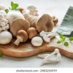 3D历史第106期开奖结果回顾与数据分析 vpfev