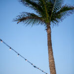 3D历史第098期开奖结果回顾与详细数据分析 zvx67d